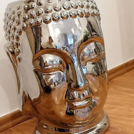 Masaryss Apartament Tulcea Eksteriør billede