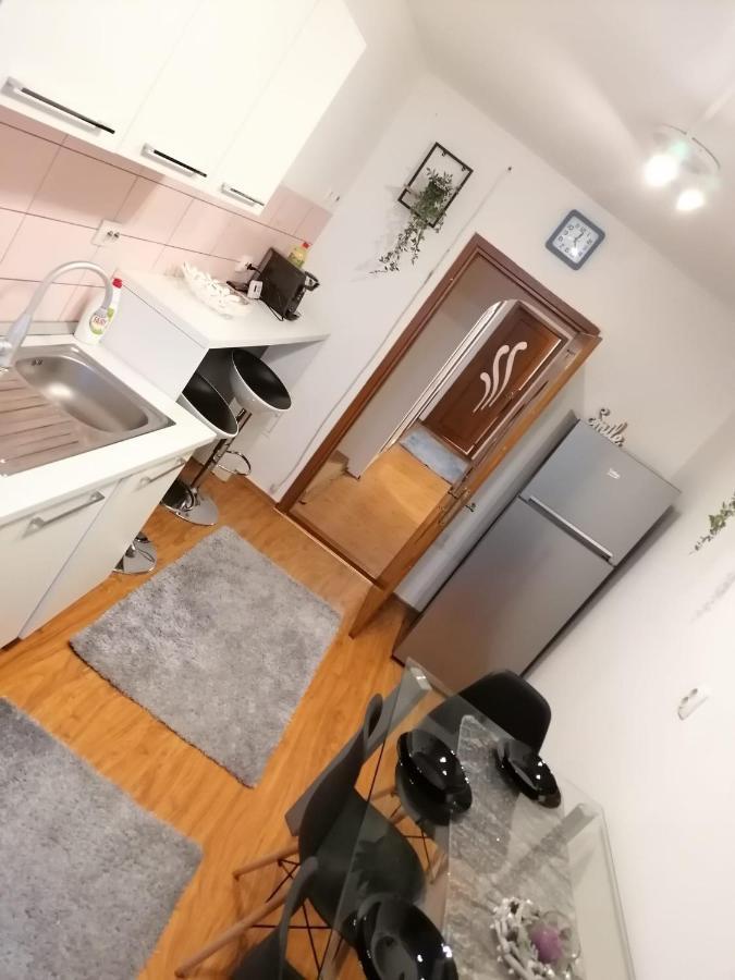 Masaryss Apartament Tulcea Eksteriør billede